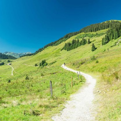 Wandern