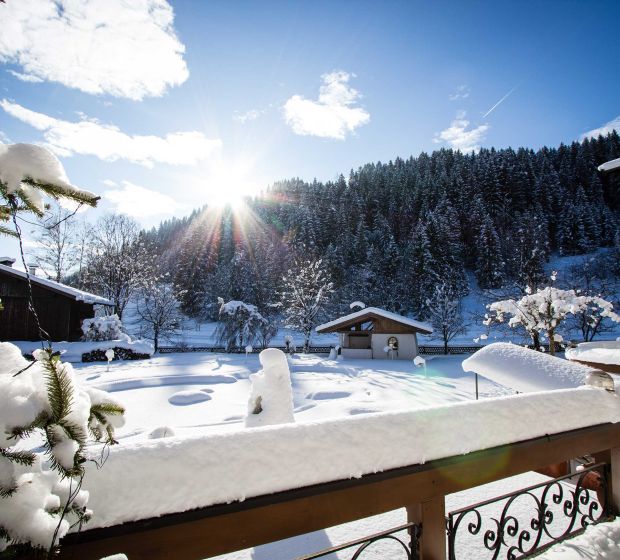 Blick auf den Garten im Winter