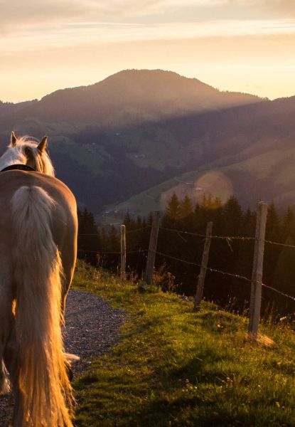 Ritt in den Sonnenaufgang