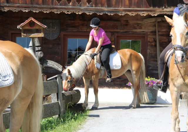 Reitausflug zum Bauernhof
