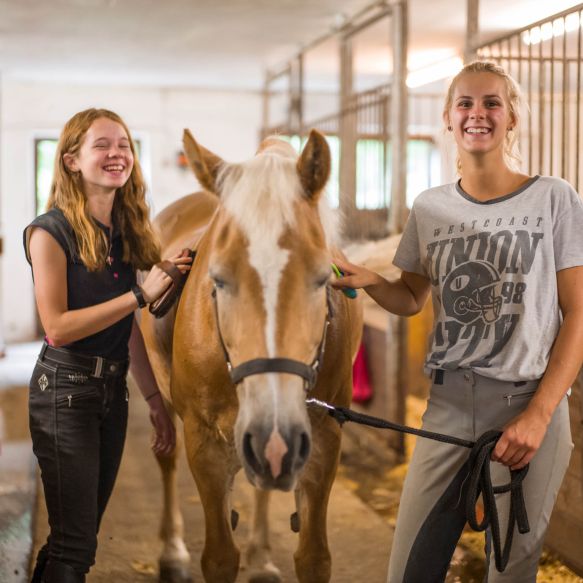 Pferde putzen im Reitstall Wildschönau