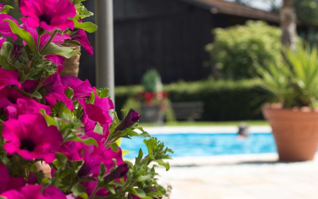 Hotelpool in der Wildschönau