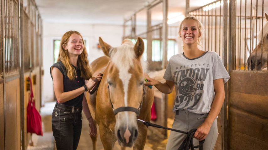 Pferde putzen im Reitstall Wildschönau