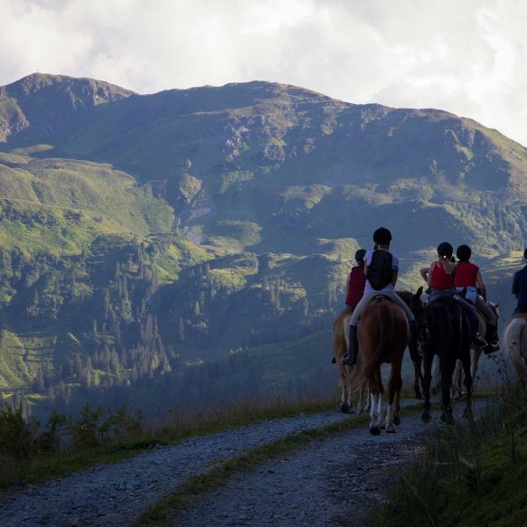 Ausritt auf die Berge
