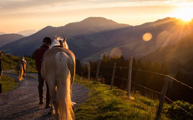 Ritt in den Sonnenaufgang