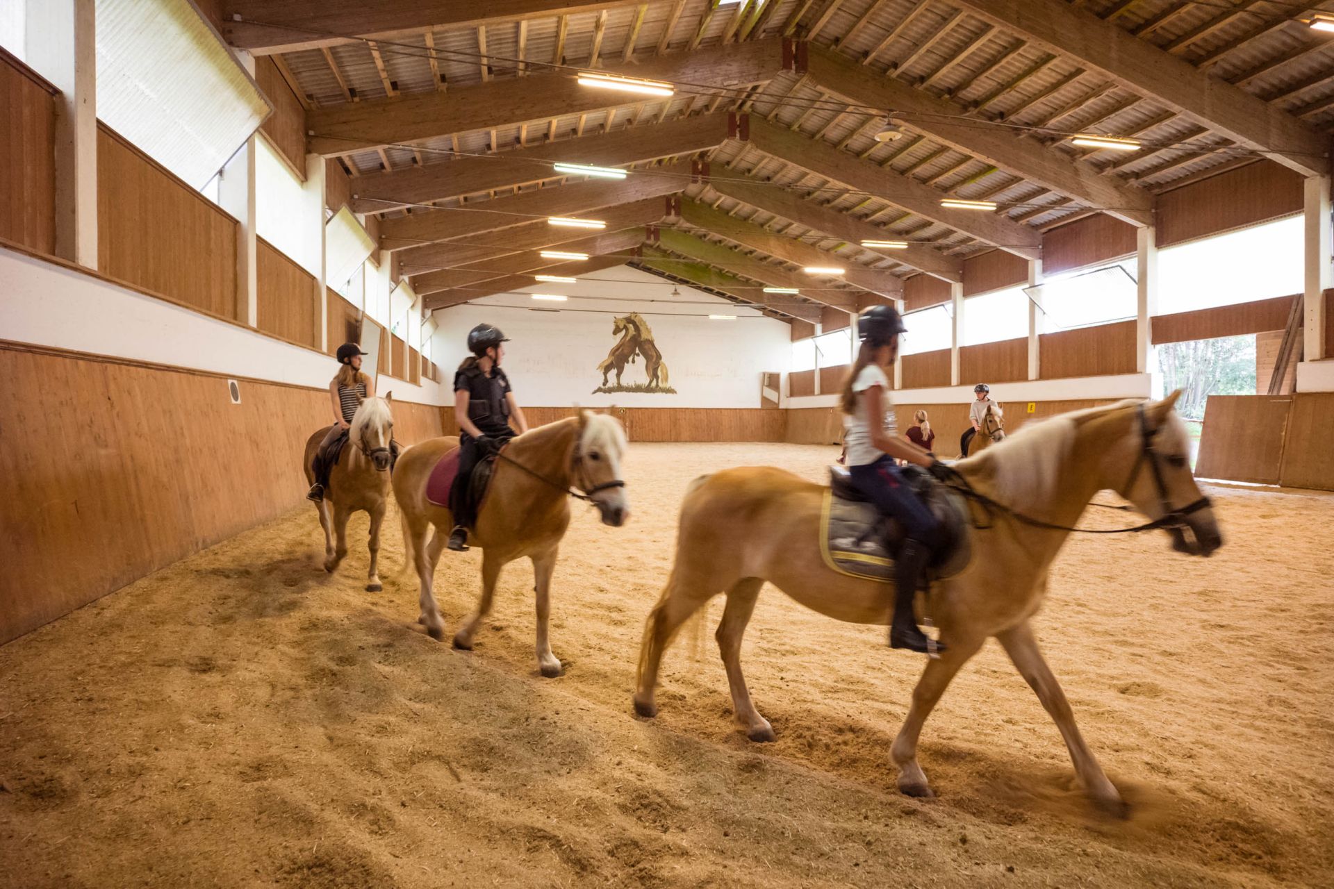 Hotel mit Reithalle und Reitstunden in der Wildschönau