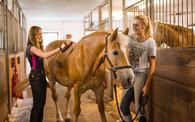 Pferde putzen im Reitstall Wildschönau