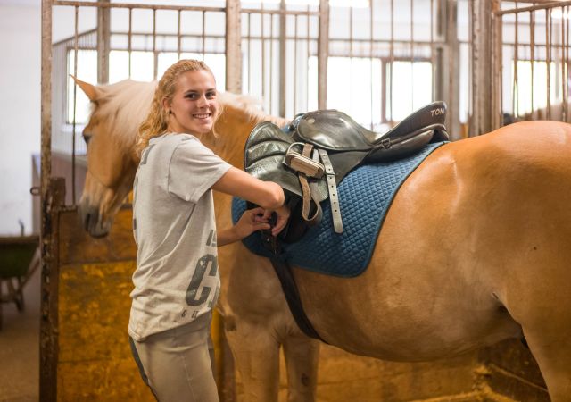Pferde putzen im Reitstall Wildschönau