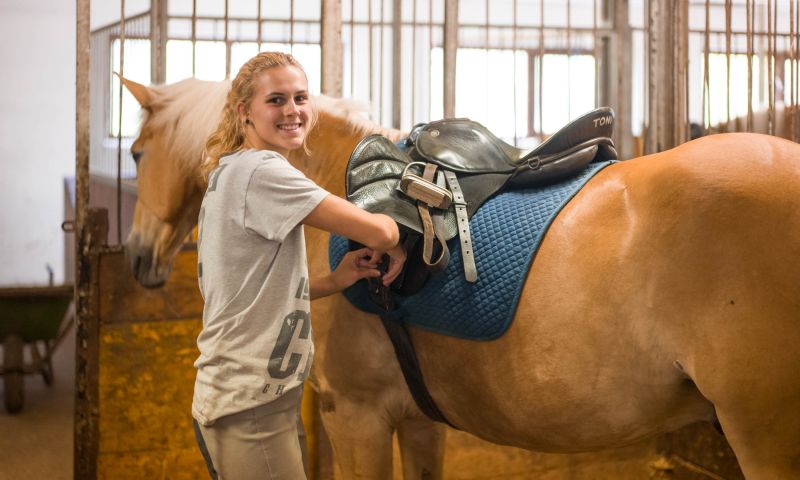 Pferde putzen im Reitstall Wildschönau