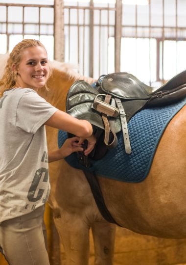 Pferde putzen im Reitstall Wildschönau