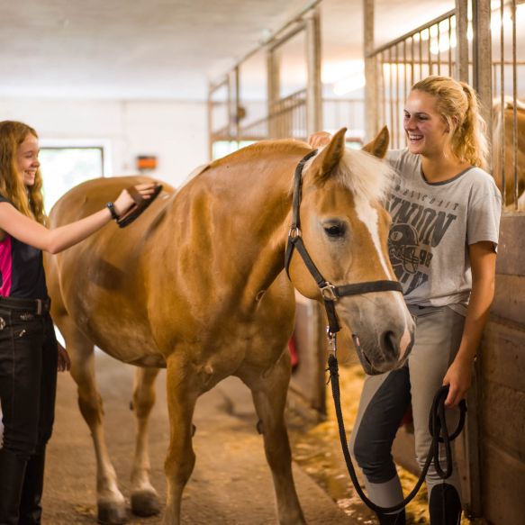 Pferde putzen im Reitstall Wildschönau