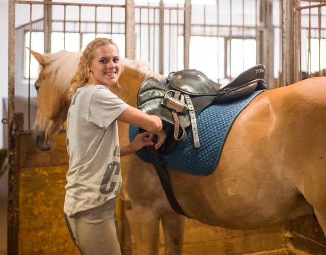 Pferde putzen im Reitstall Wildschönau
