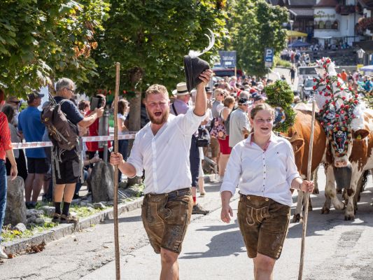 TAL Herbst Wildschönau