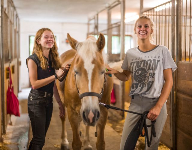 Pferde putzen im Reitstall Wildschönau
