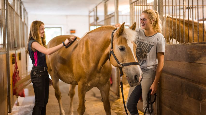 Pferde putzen im Reitstall Wildschönau