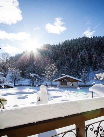 Blick auf den Garten im Winter