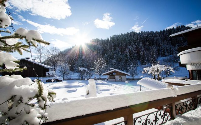 Blick auf den Garten im Winter