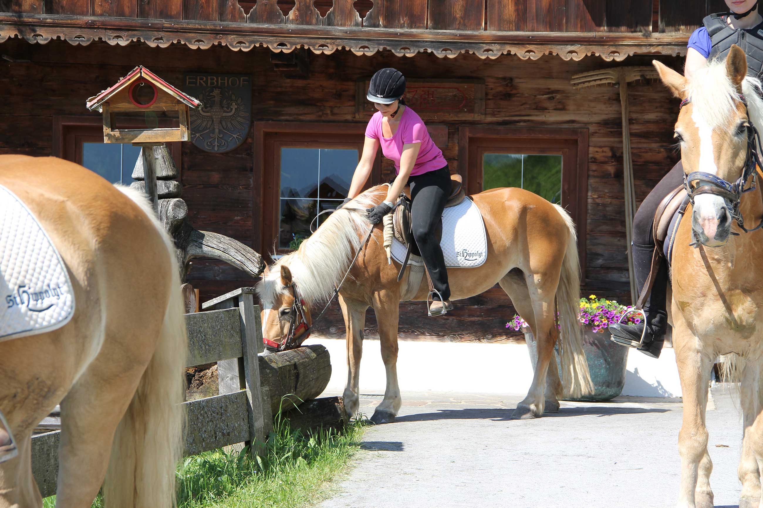 Reitausflug zum Bauernhof